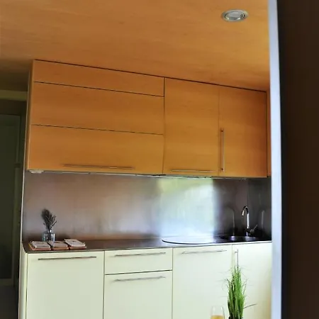 펜션 Big Berry Kolpa- Soultree Mobile House 메틀리카
